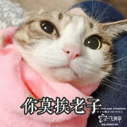 雖然不能出門，我們還是為你們準(zhǔn)備了這一年的情人節(jié)美甲，暫時(shí)只能看看了