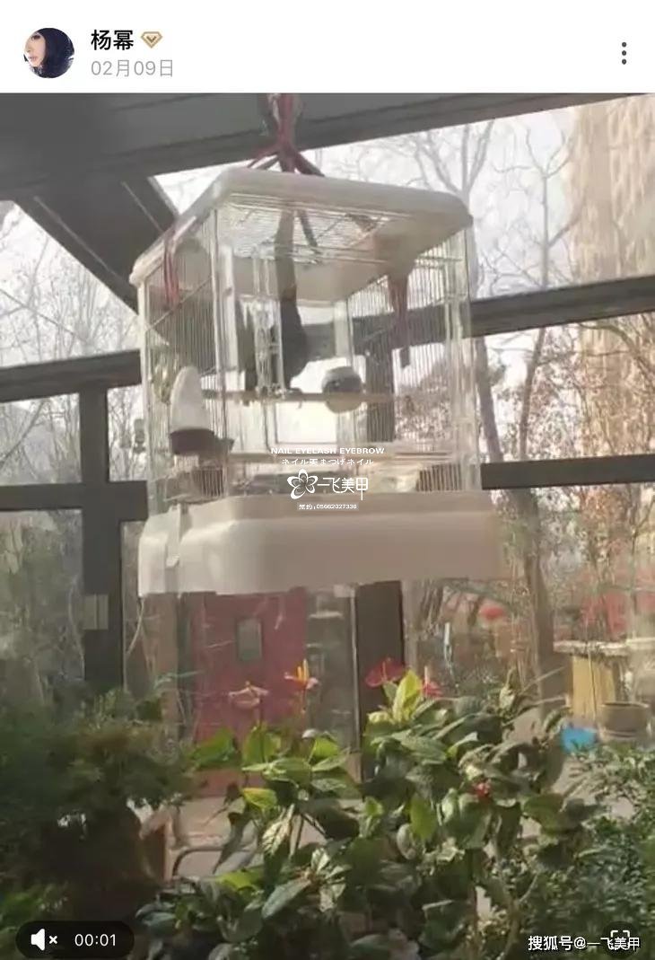 驚呆了！女明星宅在家做這件事瘦到了90斤，你們信不信？