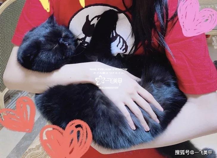 驚呆了！女明星宅在家做這件事瘦到了90斤，你們信不信？