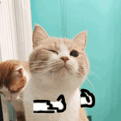 為什么你拍的美甲圖，朋友圈里沒(méi)人點(diǎn)贊？