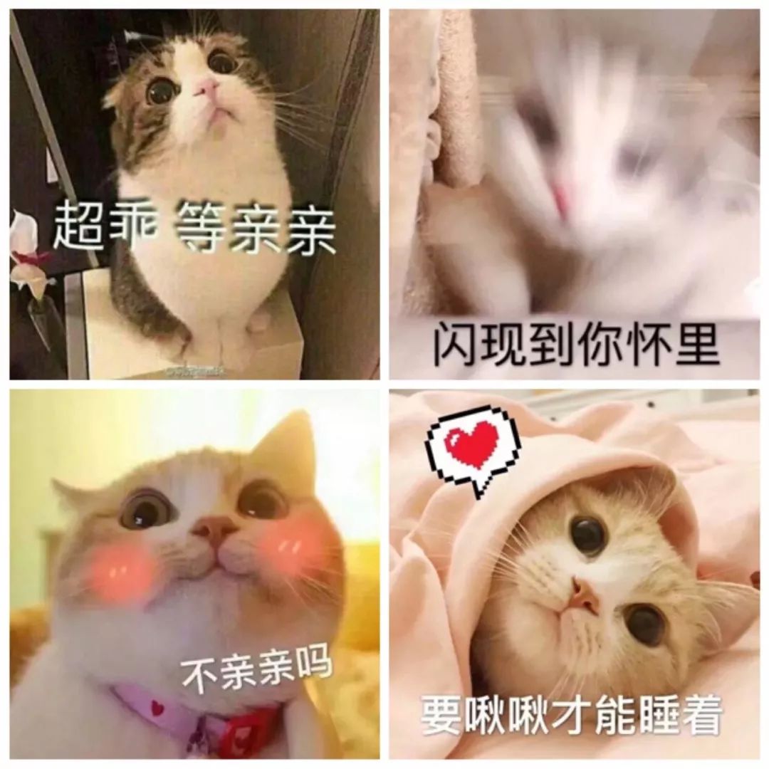 “撩漢”表情包，張張都是絕殺！