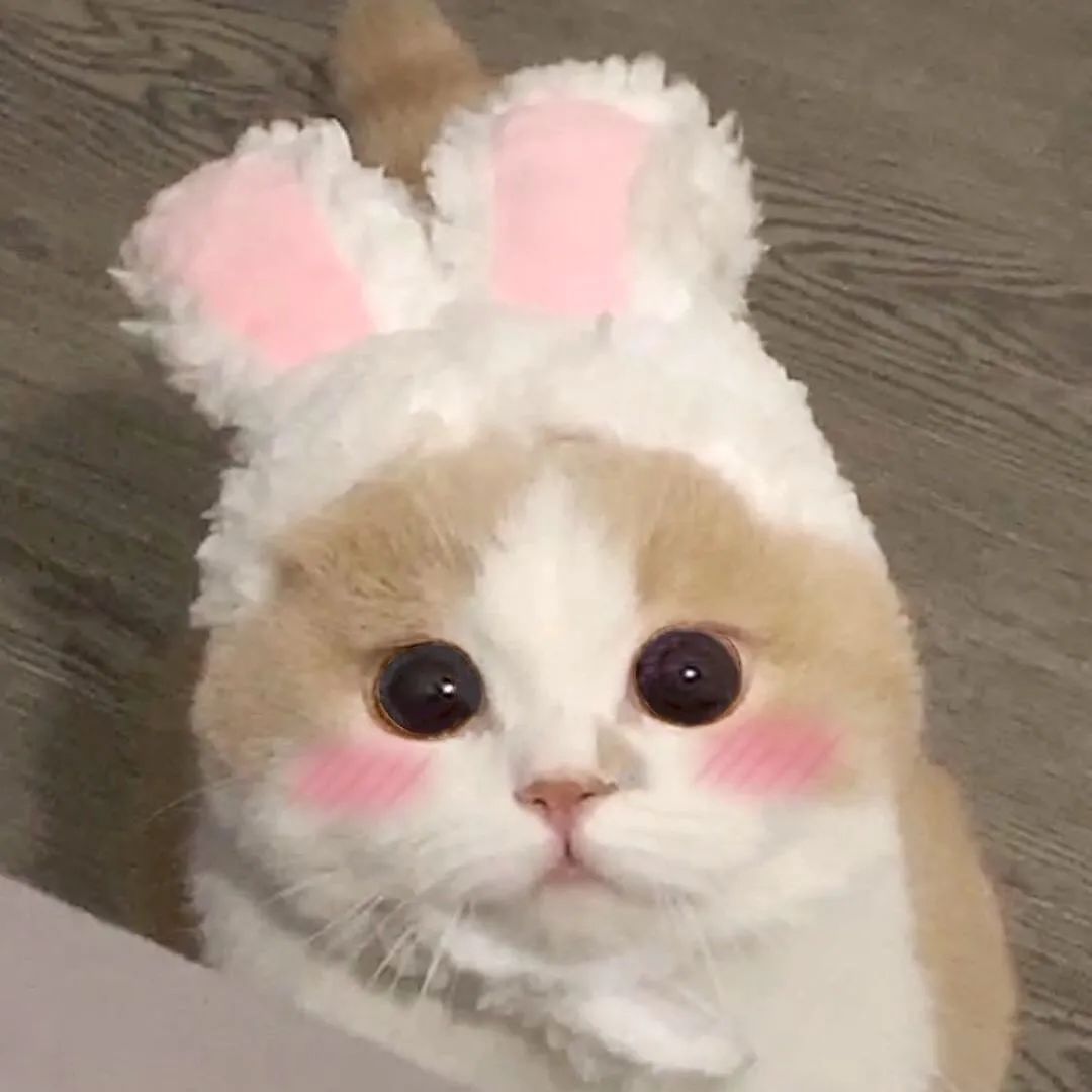 大火的晶石貓眼怎么搭才好看？