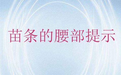 怎么瘦身 苗條的腰部提示