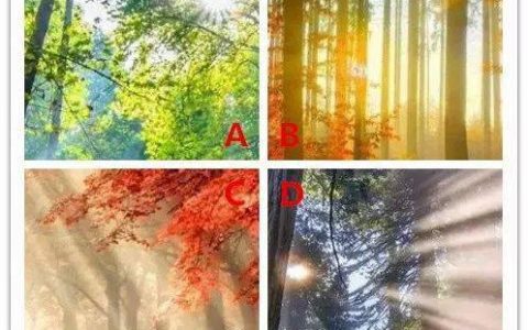 四束陽(yáng)光，你最喜歡哪束？測(cè)出你是什么命？