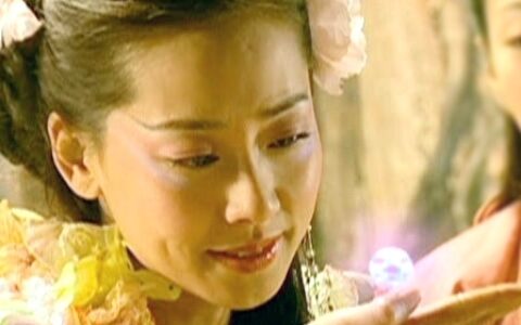 張衛(wèi)健老婆懟噴子，曾飾演仙劍一美貌蝴蝶精