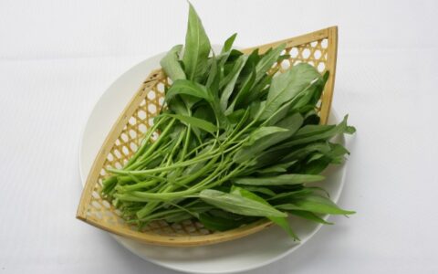 科學(xué)減肥一個月瘦，科學(xué)減肥怎么一個月瘦十斤