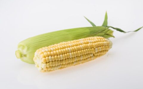 一斤老式爆米花的熱量，爆米花有營養(yǎng)嗎